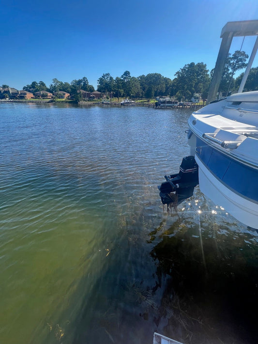 Hydrilla Killa