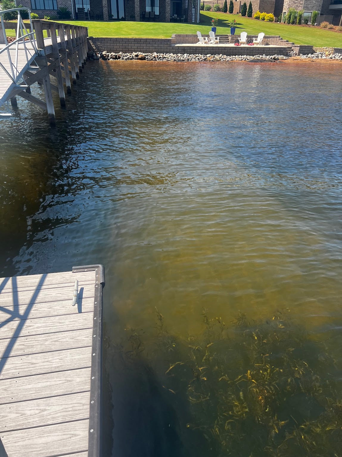 Hydrilla Killa